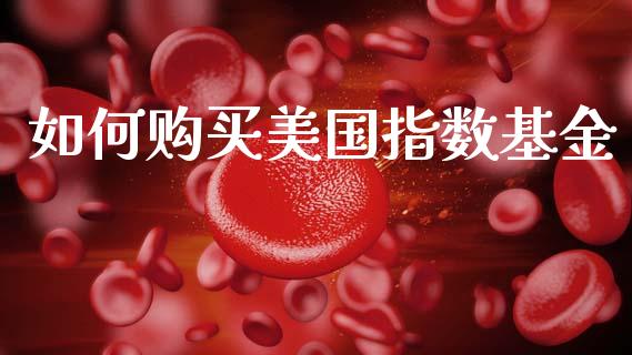 如何购买美国指数基金_https://wap.15771688.com_道指期货_第1张