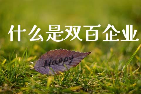 什么是双百企业_https://wap.15771688.com_期货手续费一览表_第1张