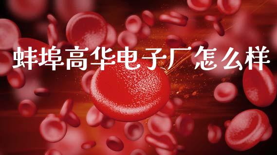 蚌埠高华电子厂怎么样_https://wap.15771688.com_道指期货_第1张