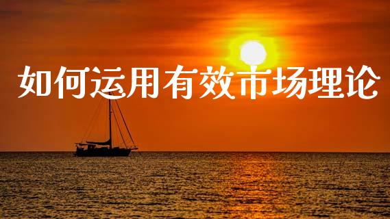 如何运用有效市场理论_https://wap.15771688.com_道指期货_第1张