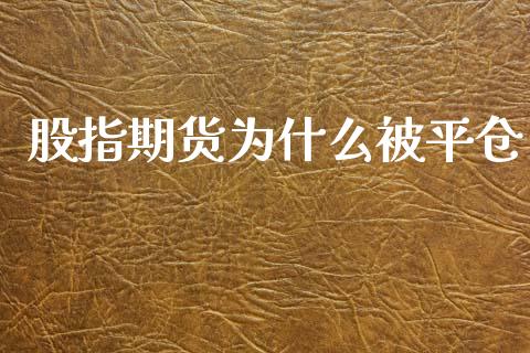 股指期货为什么被平仓_https://wap.15771688.com_期货手续费一览表_第1张