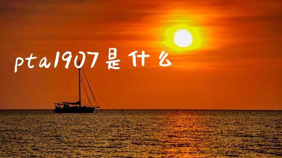 pta1907是什么_https://wap.15771688.com_国际期货_第1张
