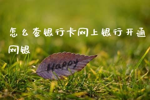 怎么查银行卡网上银行开通网银_https://wap.15771688.com_道指期货_第1张