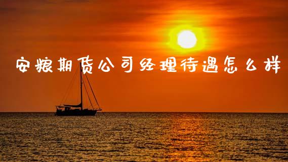 安粮期货公司经理待遇怎么样_https://wap.15771688.com_期货手续费一览表_第1张
