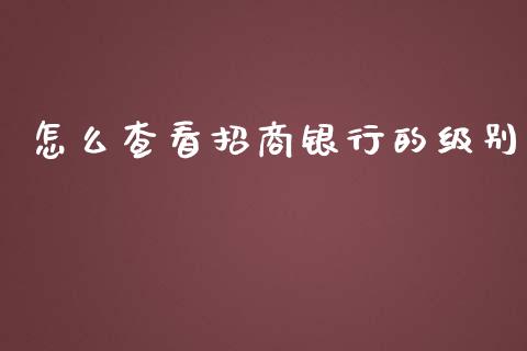 怎么查看招商银行的级别_https://wap.15771688.com_期货手续费一览表_第1张