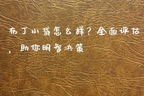 布丁小贷怎么样？全面评估，助你明智决策_https://wap.15771688.com_国际期货_第1张