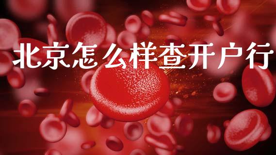 北京怎么样查开户行_https://wap.15771688.com_期货手续费一览表_第1张