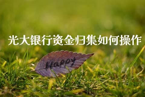 光大银行资金归集如何操作_https://wap.15771688.com_期货手续费一览表_第1张