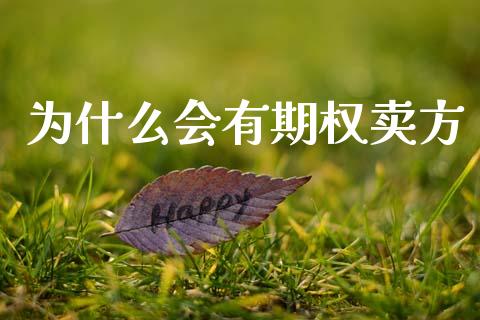 为什么会有期权卖方_https://wap.15771688.com_原油期货直播室_第1张