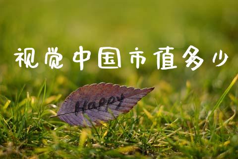 视觉中国市值多少_https://wap.15771688.com_期货手续费一览表_第1张