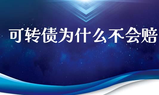 可转债为什么不会赔_https://wap.15771688.com_道指期货_第1张