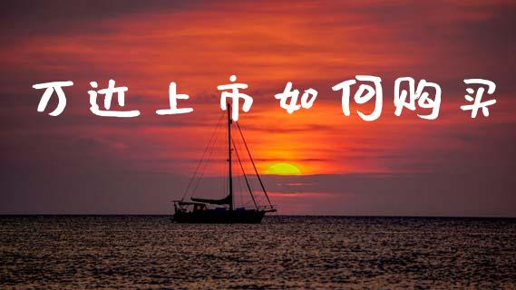 万达上市如何购买_https://wap.15771688.com_道指期货_第1张