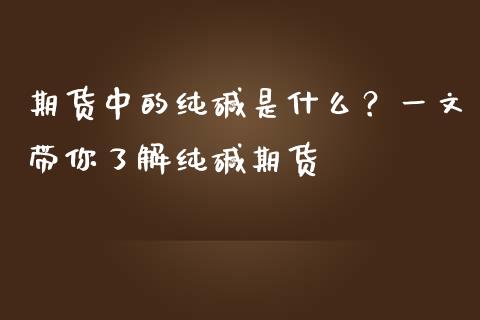 期货中的纯碱是什么？一文带你了解纯碱期货_https://wap.15771688.com_国际期货_第1张