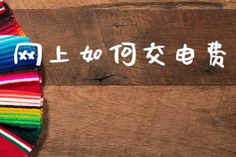 网上如何交电费_https://wap.15771688.com_原油期货直播室_第1张