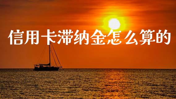 信用卡滞纳金怎么算的_https://wap.15771688.com_期货手续费一览表_第1张