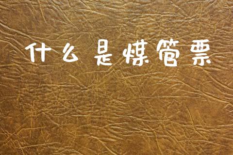 什么是煤管票_https://wap.15771688.com_原油期货直播室_第1张