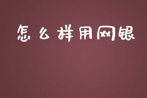 怎么样用网银_https://wap.15771688.com_原油期货直播室_第1张