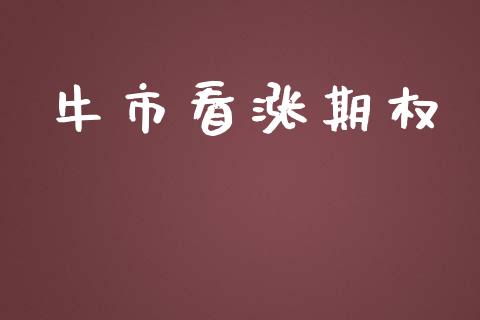 牛市看涨期权_https://wap.15771688.com_国际期货_第1张