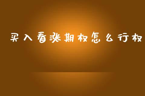 买入看涨期权怎么行权_https://wap.15771688.com_原油期货直播室_第1张