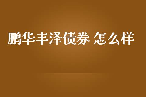 鹏华丰泽债券 怎么样_https://wap.15771688.com_国际期货_第1张