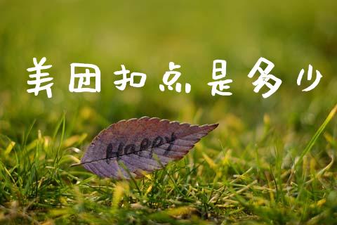 美团扣点是多少_https://wap.15771688.com_原油期货直播室_第1张