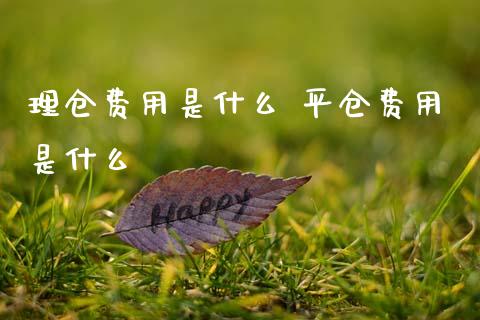 理仓费用是什么 平仓费用是什么_https://wap.15771688.com_期货手续费一览表_第1张