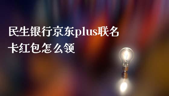 民生银行京东plus联名卡红包怎么领_https://wap.15771688.com_原油期货直播室_第1张