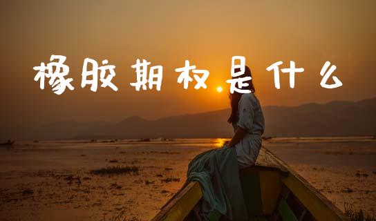 橡胶期权是什么_期货手续费一览表_第1张_原油期货直播室_道指期_期货手续费一览表_国际期货 橡胶期权是什么_https://wap.15771688.com_期货手续费一览表_第1张