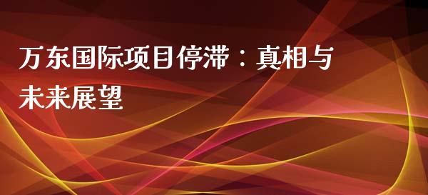 万东国际项目停滞：真相与未来展望_https://wap.15771688.com_期货手续费一览表_第1张