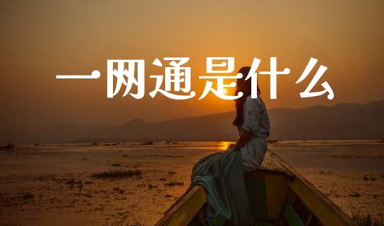 一网通是什么_https://wap.15771688.com_原油期货直播室_第1张