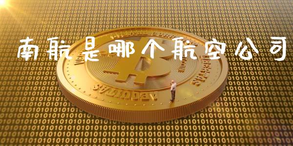 南航是哪个航空公司_https://wap.15771688.com_期货手续费一览表_第1张