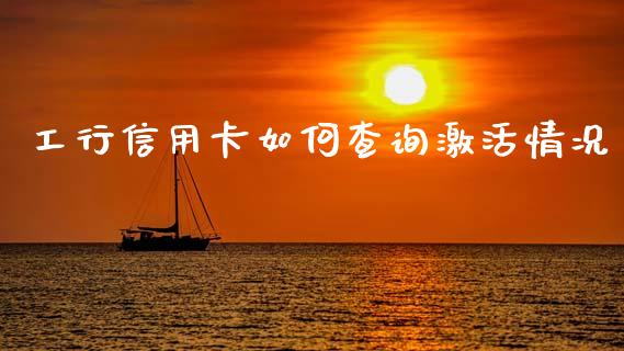 工行信用卡如何查询激活情况_https://wap.15771688.com_期货手续费一览表_第1张