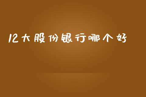 12大股份银行哪个好_https://wap.15771688.com_道指期货_第1张