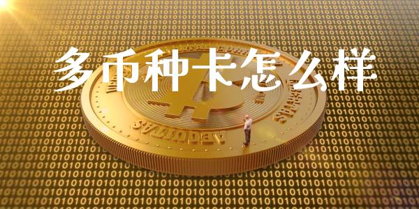多币种卡怎么样_https://wap.15771688.com_期货手续费一览表_第1张