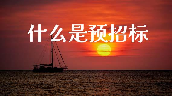 什么是预招标_https://wap.15771688.com_期货手续费一览表_第1张