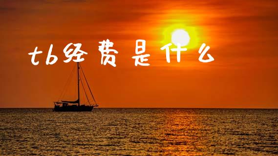 tb经费是什么_国际期货_第1张_原油期货直播室_道指期_期货手续费一览表_国际期货 tb经费是什么_https://wap.15771688.com_国际期货_第1张