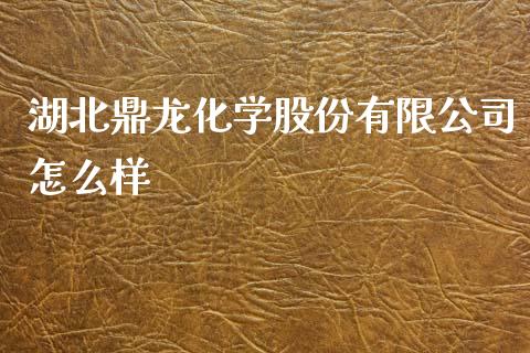 湖北鼎龙化学股份有限公司怎么样_https://wap.15771688.com_原油期货直播室_第1张