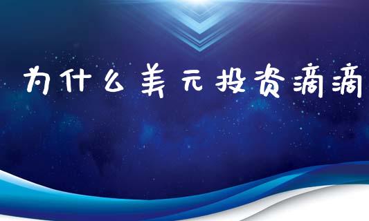 为什么美元投资滴滴_https://wap.15771688.com_原油期货直播室_第1张
