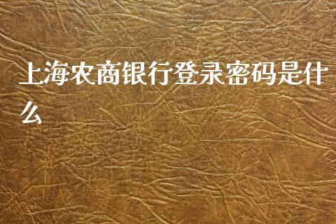 上海农商银行登录密码是什么_https://wap.15771688.com_期货手续费一览表_第1张