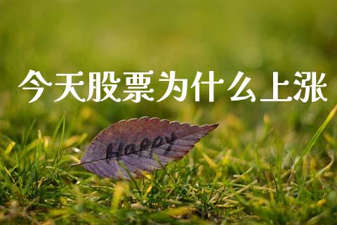 今天股票为什么上涨_https://wap.15771688.com_国际期货_第1张