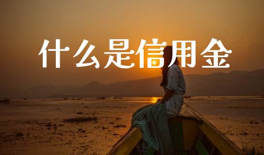 什么是信用金_https://wap.15771688.com_国际期货_第1张