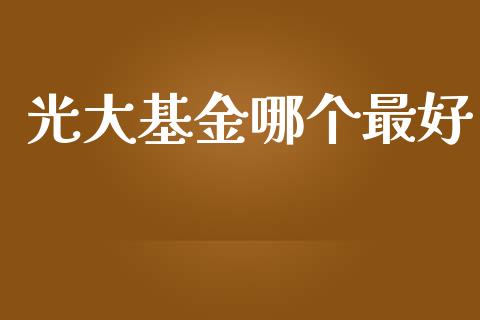 光大基金哪个最好_https://wap.15771688.com_原油期货直播室_第1张