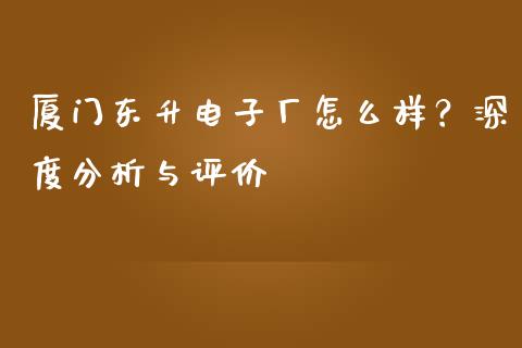 厦门东升电子厂怎么样？深度分析与评价_https://wap.15771688.com_期货手续费一览表_第1张