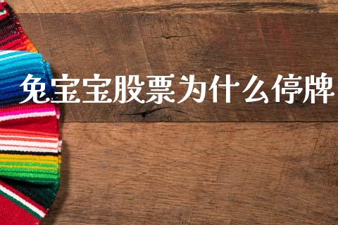 兔宝宝股票为什么停牌_https://wap.15771688.com_原油期货直播室_第1张