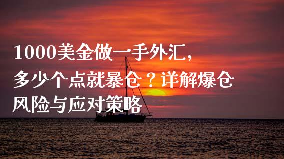 1000美金做一手外汇，多少个点就暴仓？详解爆仓风险与应对策略_https://wap.15771688.com_期货手续费一览表_第1张