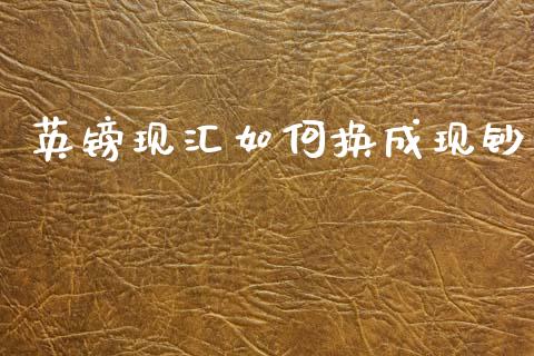英镑现汇如何换成现钞_https://wap.15771688.com_期货手续费一览表_第1张