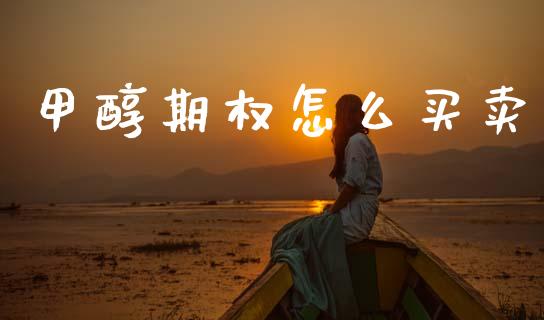 甲醇期权怎么买卖_https://wap.15771688.com_国际期货_第1张
