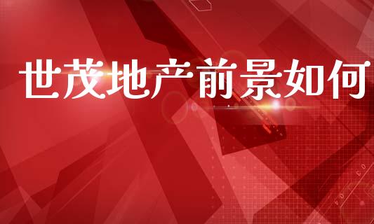 世茂地产前景如何_https://wap.15771688.com_国际期货_第1张