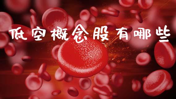 低空概念股有哪些_https://wap.15771688.com_期货手续费一览表_第1张