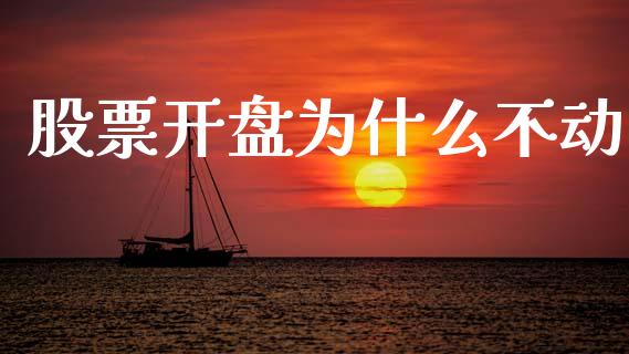股票开盘为什么不动_https://wap.15771688.com_期货手续费一览表_第1张